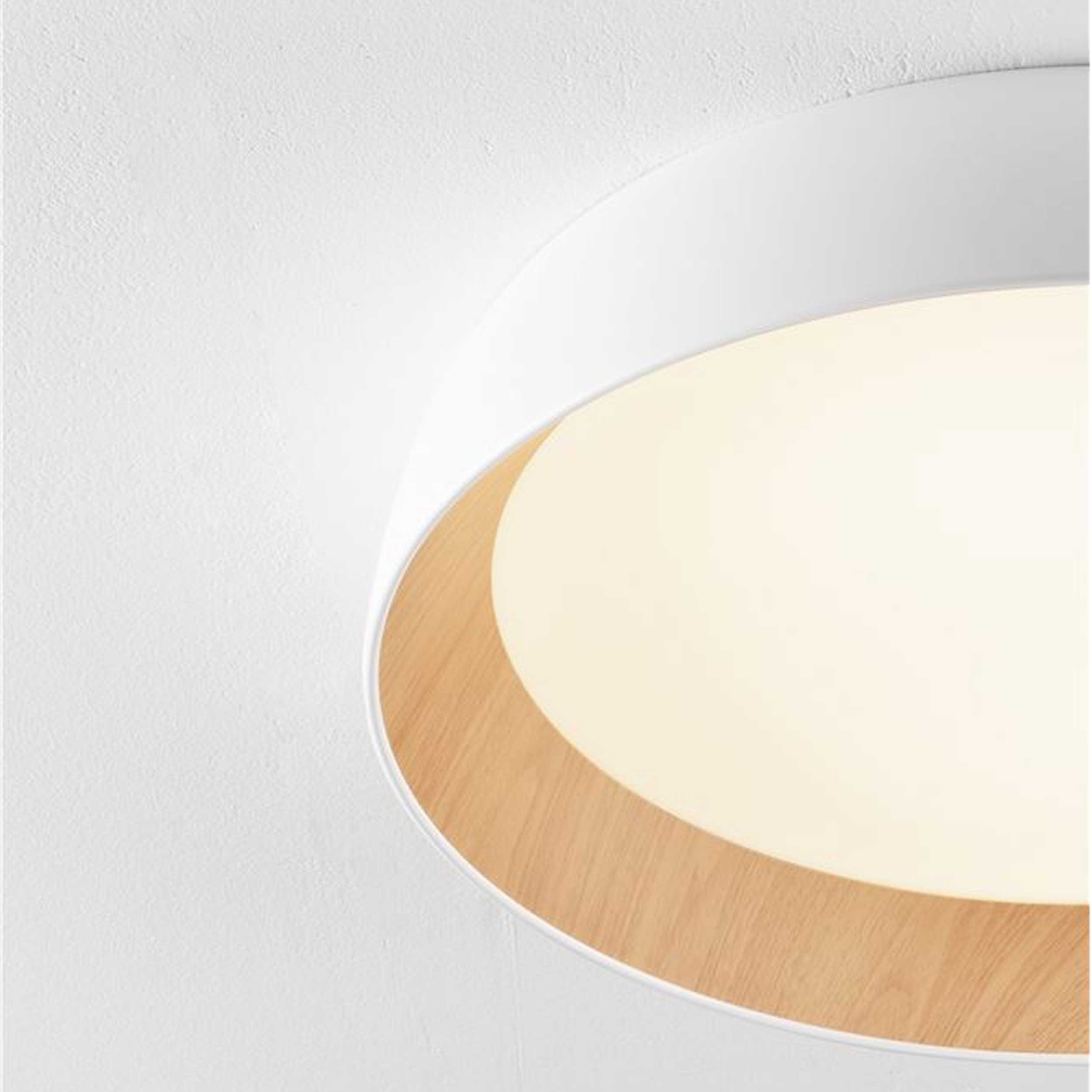 Nova Luce Cantria LED-loftslampe