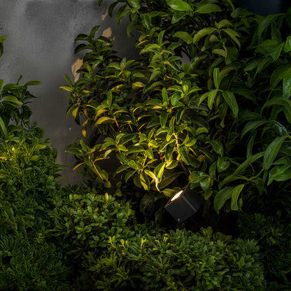 Faro Brume LED glass ceiling light IP44