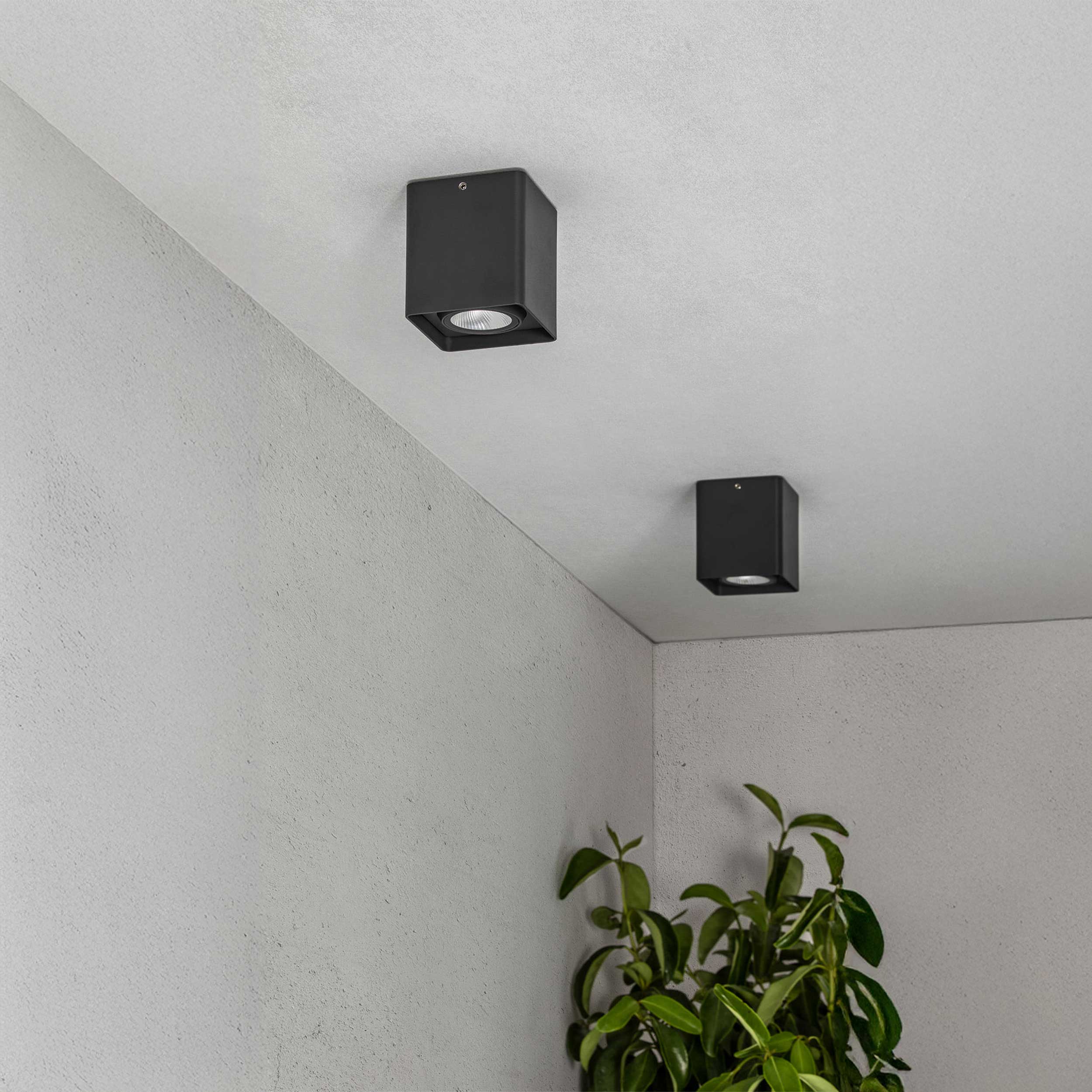 Faro Tami LED přisazené venkovní svítidlo IP54