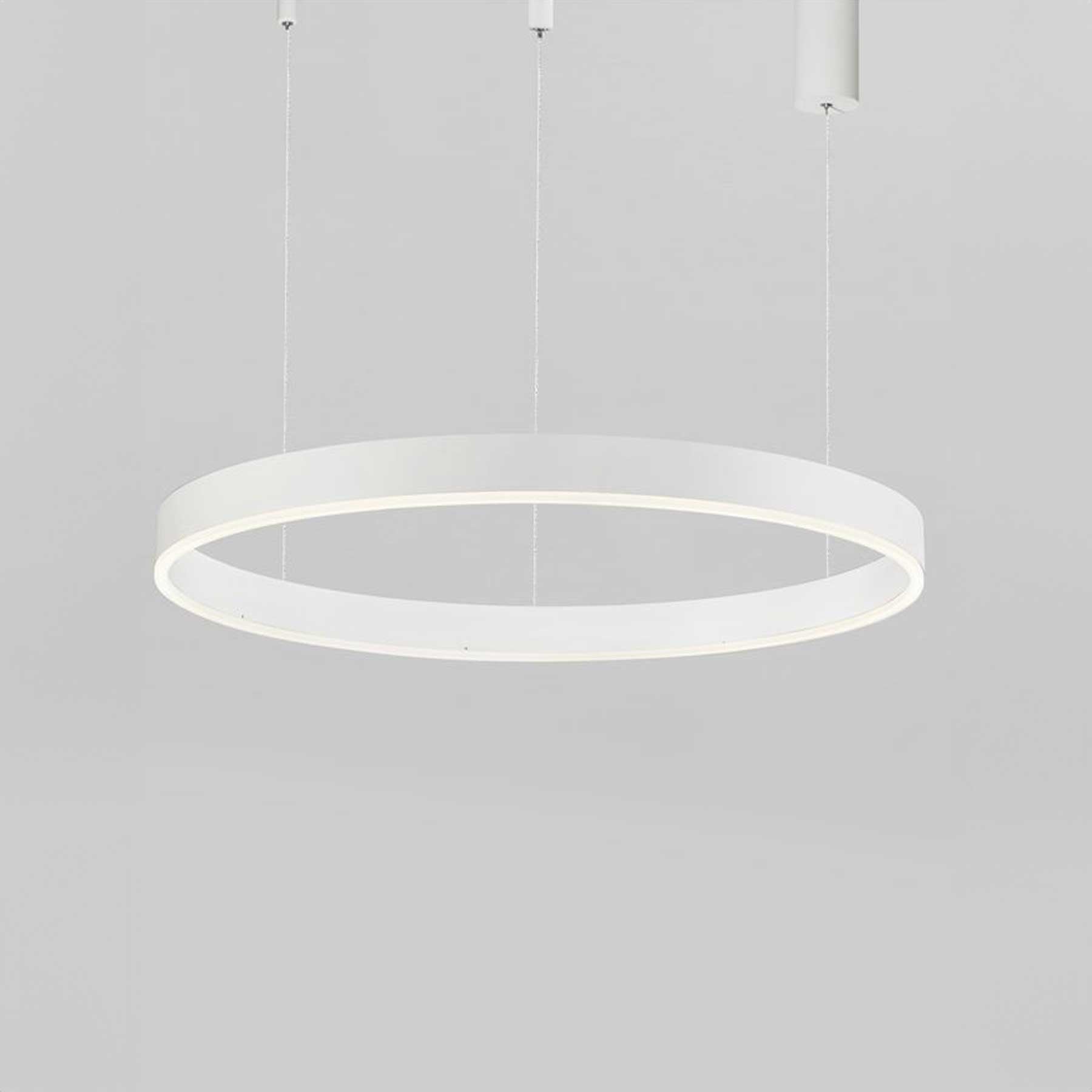 Nova Luce Motif LED kruhové závěsné svítidlo stmívatelné CCT