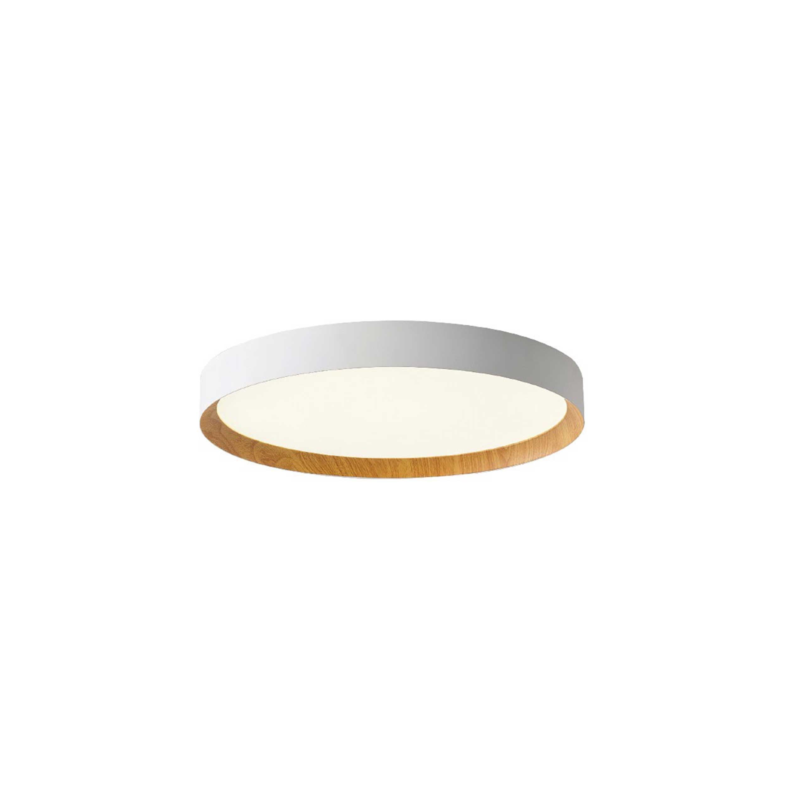 VK Light Eleso LED-loftslampe
