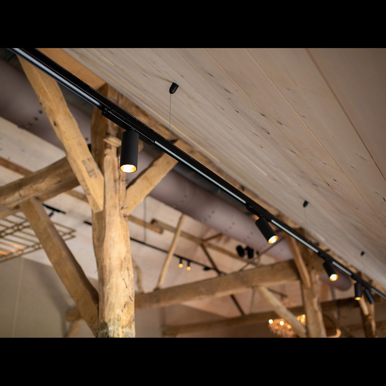 Karizma Luce Dea Juno M LED svítidlo pro 3F lištu bílé